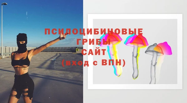 круглые Алзамай
