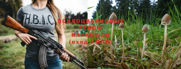 мескалин Алексин